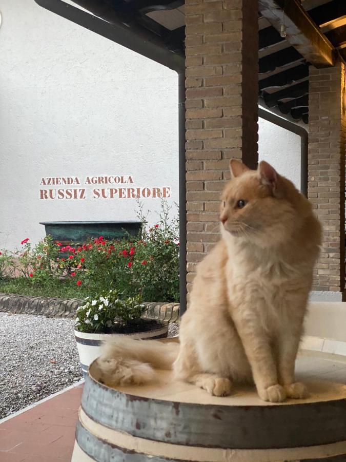 Relais Russiz Superiore Bauernhof Capriva del Friuli